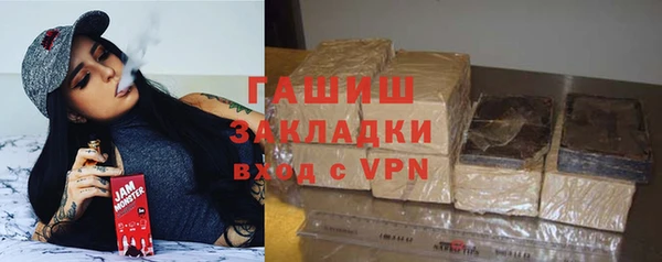 хмурый Арсеньев