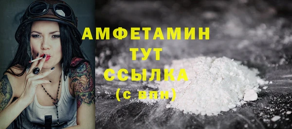 хмурый Арсеньев
